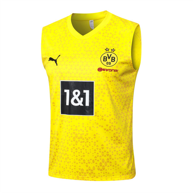 Borussia Dortmund Training Jersey 23/24