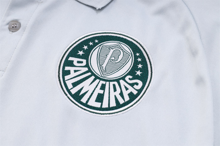Palmeiras POLO Jersey 23/24