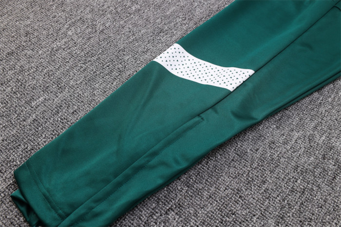 Palmeiras POLO Jersey 23/24