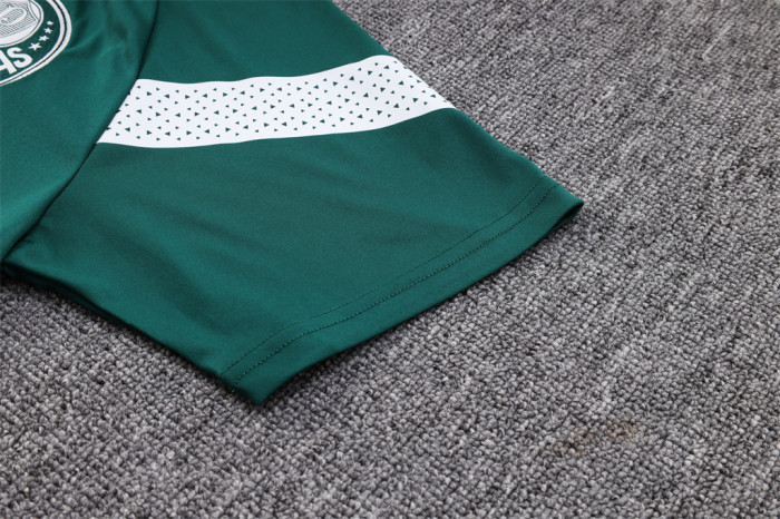 Palmeiras POLO Jersey 23/24
