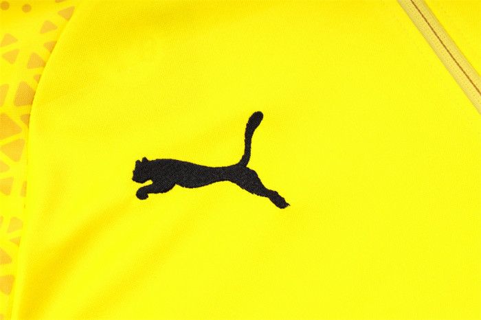 Borussia Dortmund Training Jersey Suit 23/24