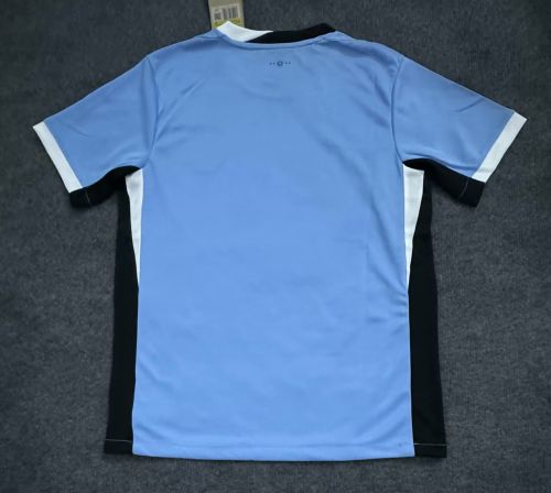 Uruguay 2024 Copa America Home Man Jersey