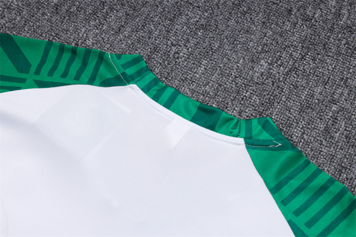 Palmeiras Training Jersey 23/24