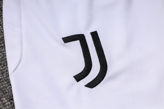 Juventus Training Jersey 23/24