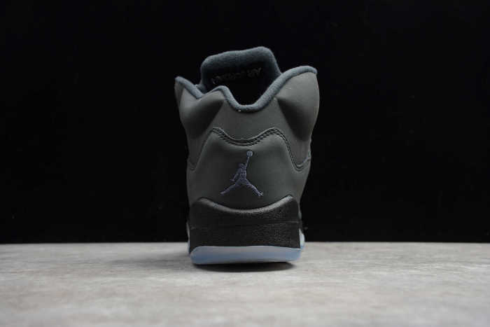 Air Jordan 5 Anthracite Grey Silver DB00731-001