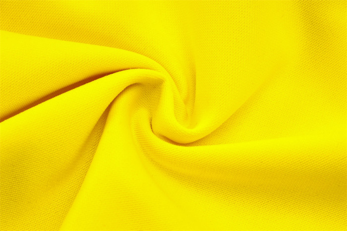 Dortmund Training Jacket 23/24