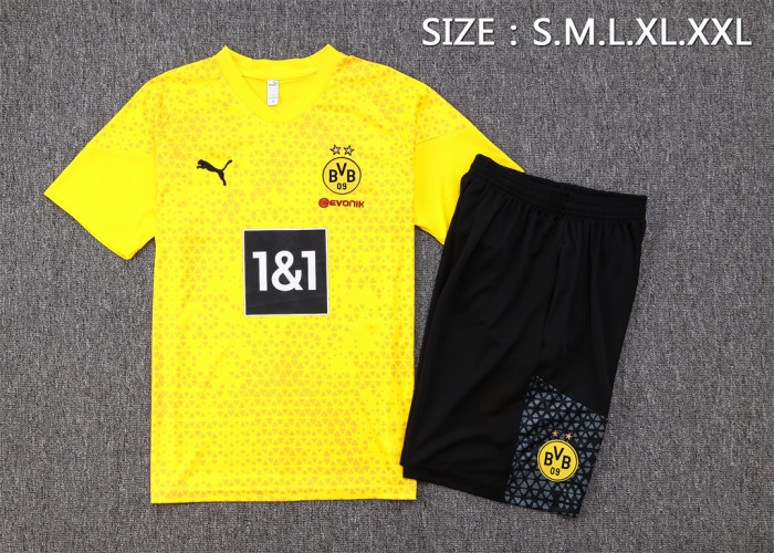 Borussia Dortmund Training Jersey 23/24