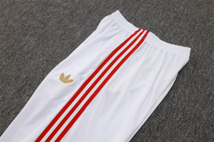 Bayern Munich Training Jersey Suit 25/26