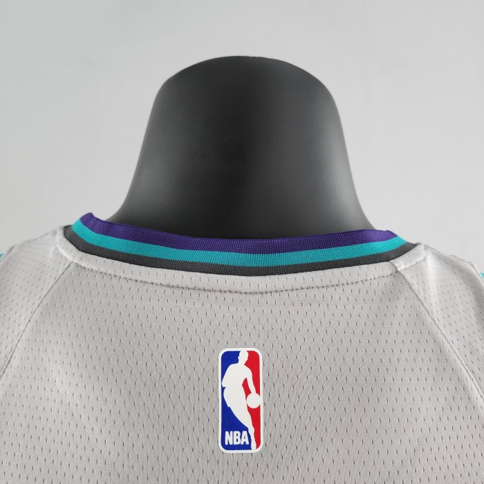LaMelo Ball Charlotte Hornets Swingman Jersey Grey 2019