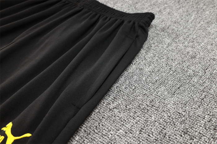 Borussia Dortmund Training Jersey Suit 23/24