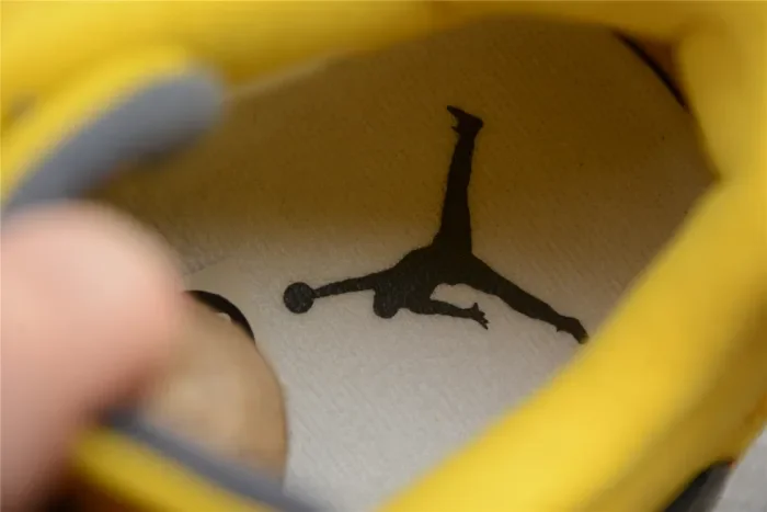 Air Jordan 4 “Lightning” 314254-702