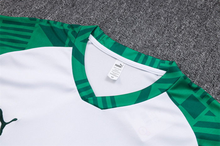 Palmeiras Training Jersey 23/24