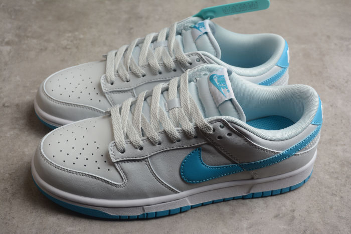 SB Dunk Low Grey/Blue DV0831-001