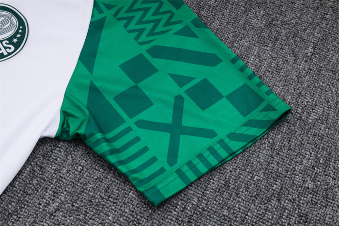 Palmeiras Training Jersey 23/24