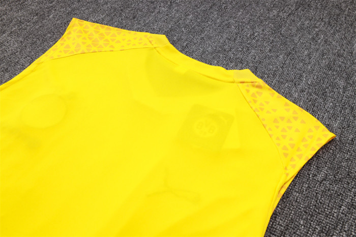 Borussia Dortmund Training Jersey 23/24