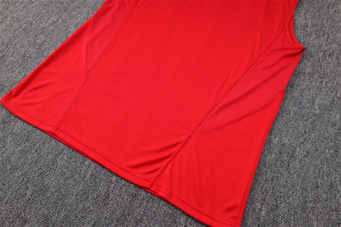 Flamengo Training Jersey 23/24