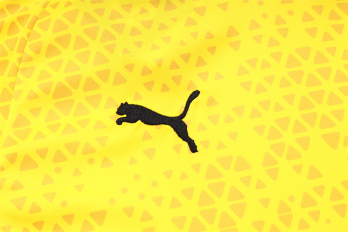 Borussia Dortmund Training Jersey 23/24