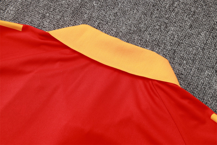 Bayern Munich POLO Jersey 24/25