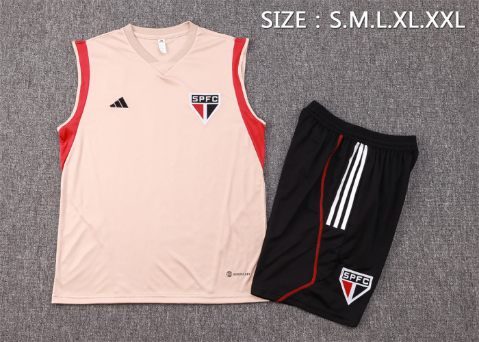 Sao paulo Training Jersey 23/24