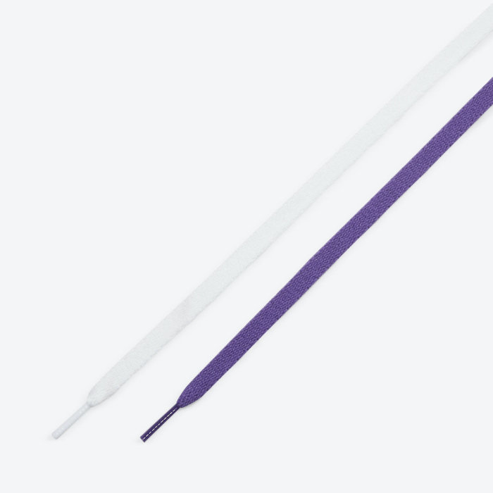 Air Jordan 1 High OG WMNS “Court Purple” CD0461-151