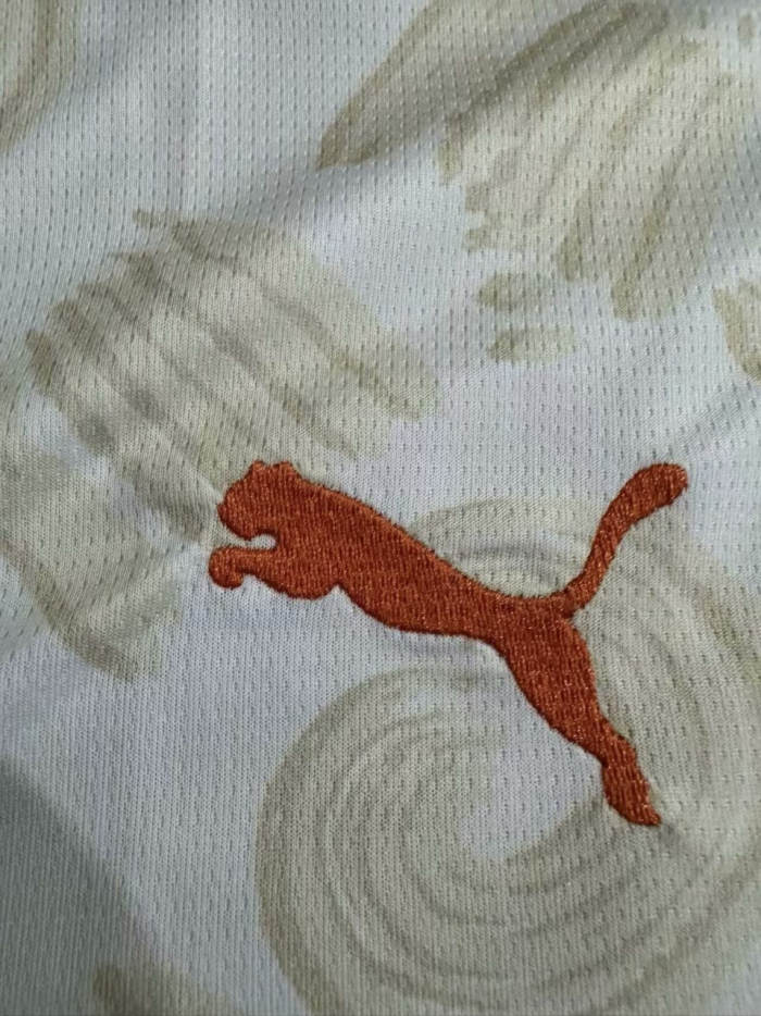 Ivory Coast 2025 Away Man Jersey