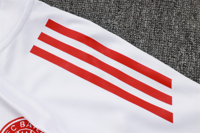 Bayern Munich Training Jersey Suit 25/26