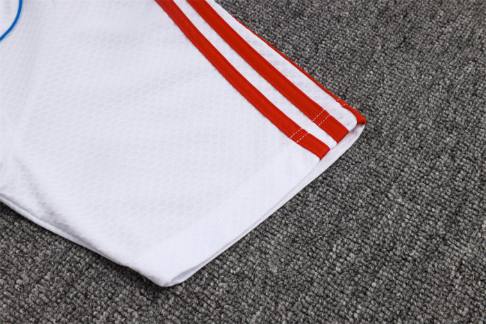 Bayern Munich POLO Jersey 25/26