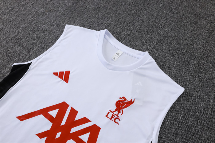 Liverpool Training Jersey 25/26