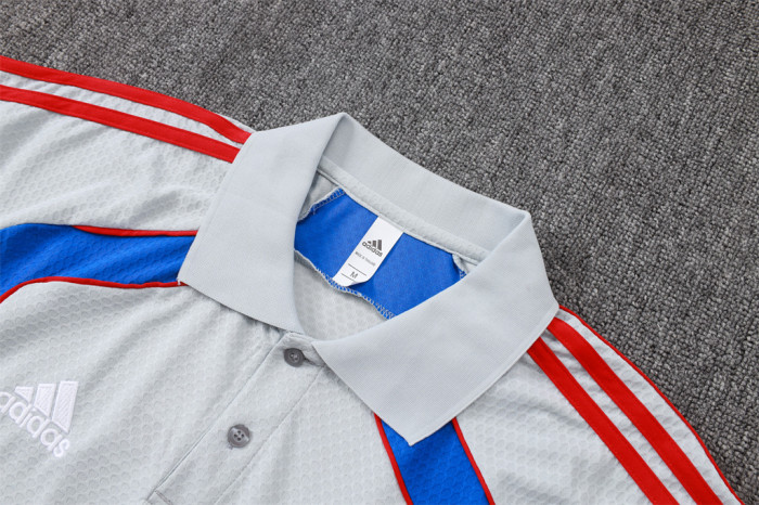 Bayern Munich POLO Jersey 25/26