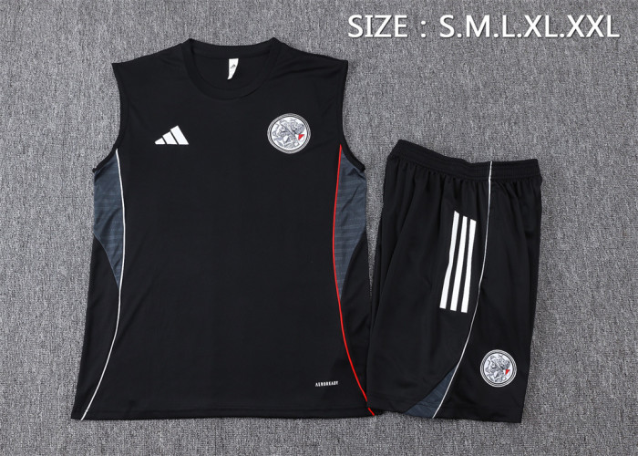 Ajax Training Jersey 25/26