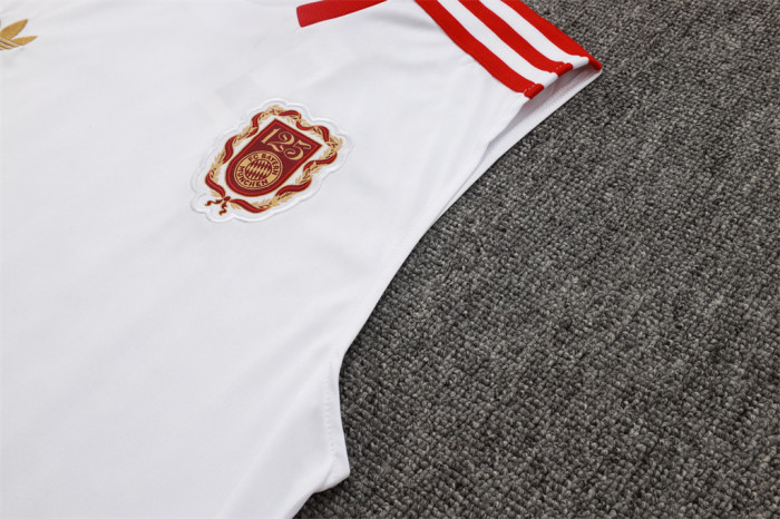 Bayern Munich Training Jersey 25/26