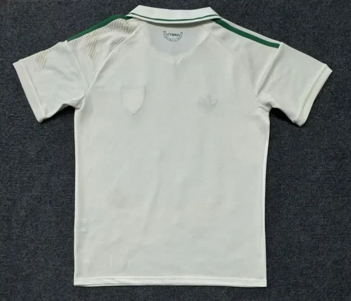 Wales 2026 World Cup Away Men Jersey