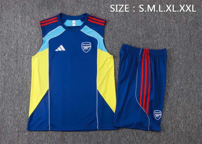 Arsenal Training Jersey 25/26