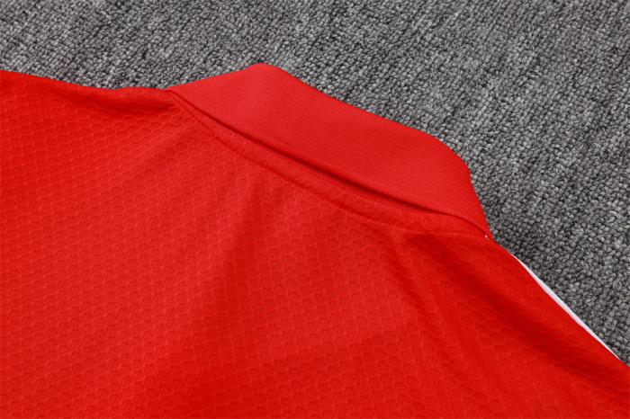 Flamengo POLO Jersey 25/26