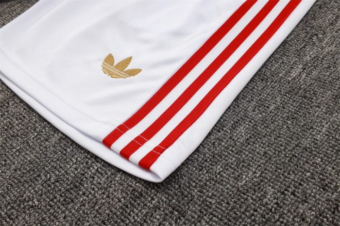 Bayern Munich Training Jersey 25/26