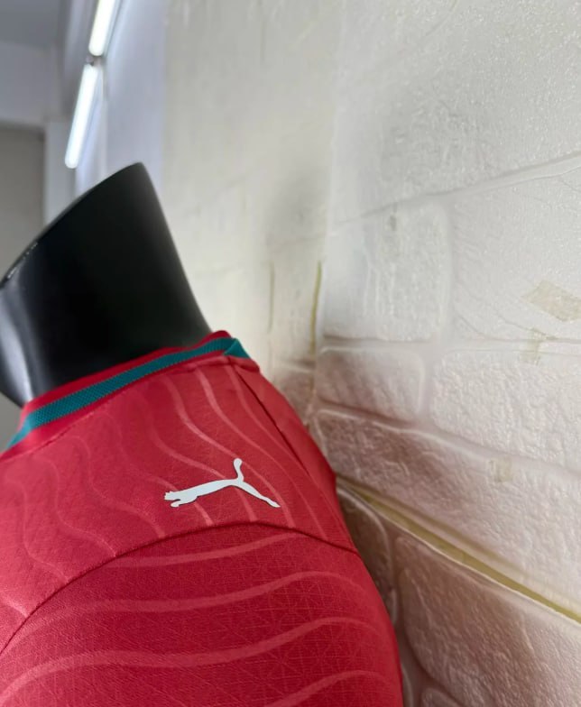 Portugal 2026 World Cup Home Player Version Long Sleeve Men Jersey