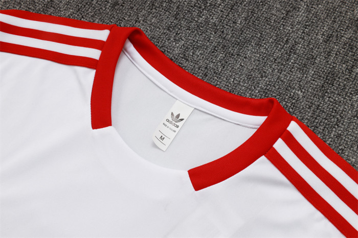 Bayern Munich Training Jersey 25/26