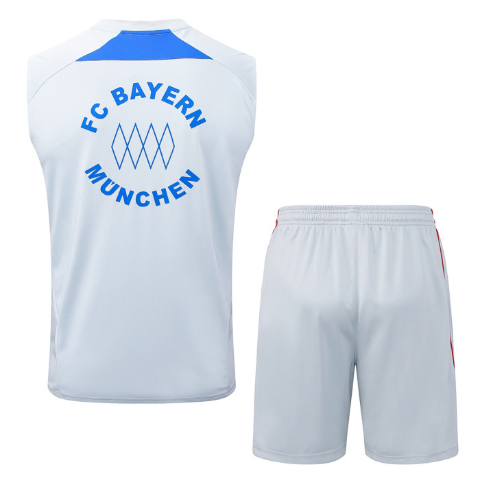 Bayern Munich Training Jersey 25/26
