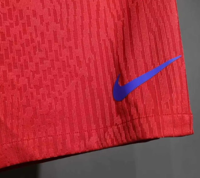 Paris Saint Germain Third Player Shorts 25/26