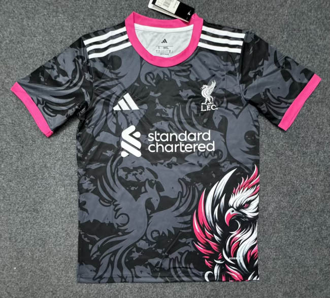Liverpool Special Edition Man Jersey 25/26
