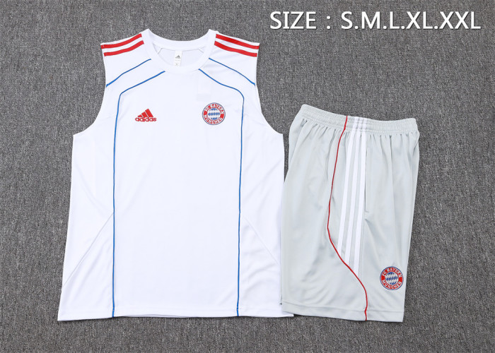Bayern Munich Training Jersey 25/26