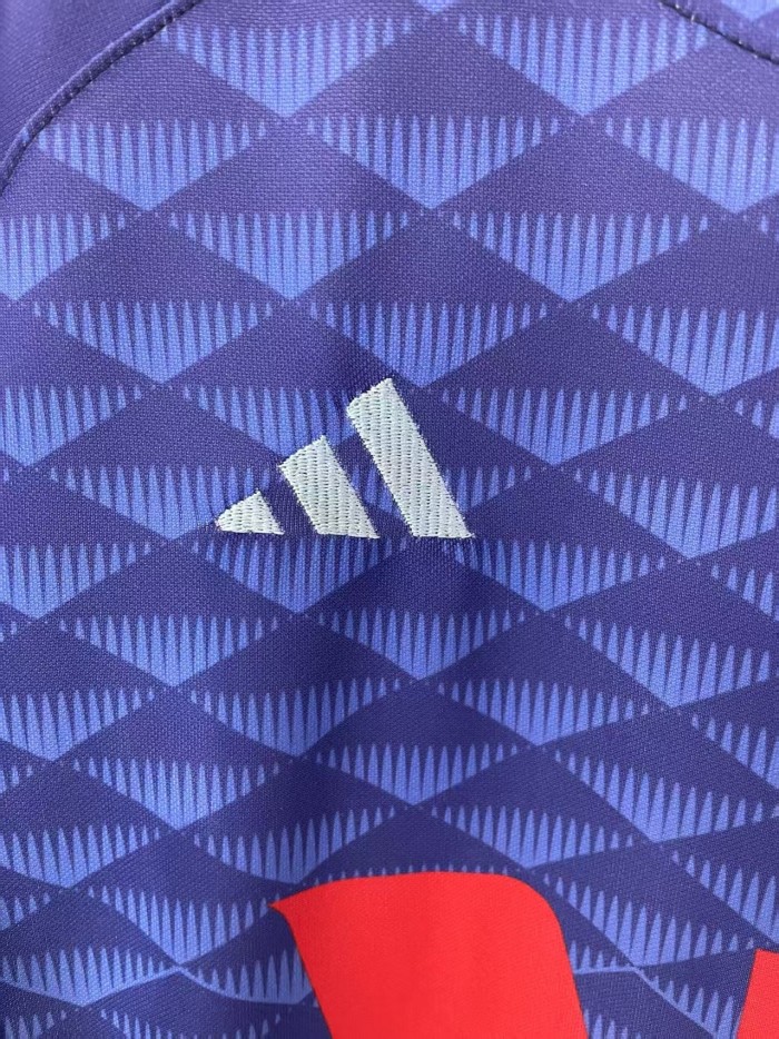 2025 NSW Blues Training Rugby Jersey