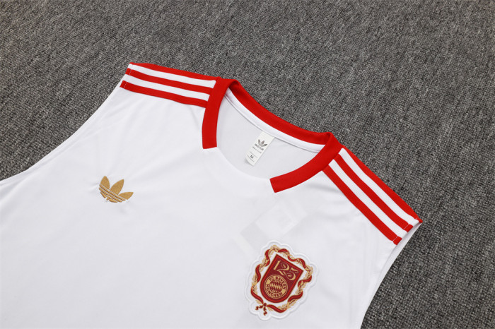 Bayern Munich Training Jersey 25/26