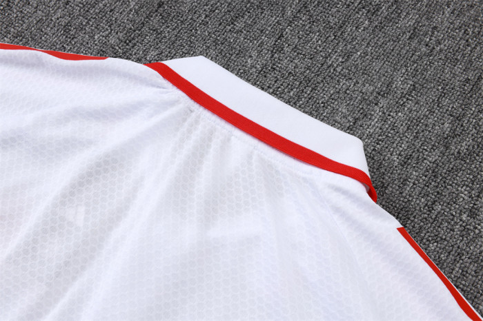 Bayern Munich POLO Jersey 25/26