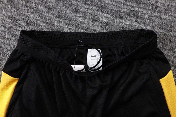Borussia Dortmund Training Pants 25/26