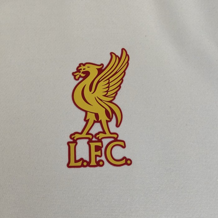 Liverpool Player fleece-lined Hoodie （Multiple colors）