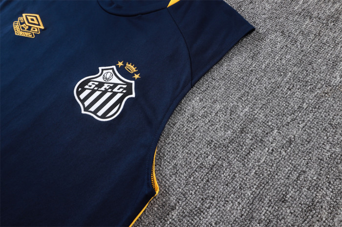 Santos Training Jersey 24/25