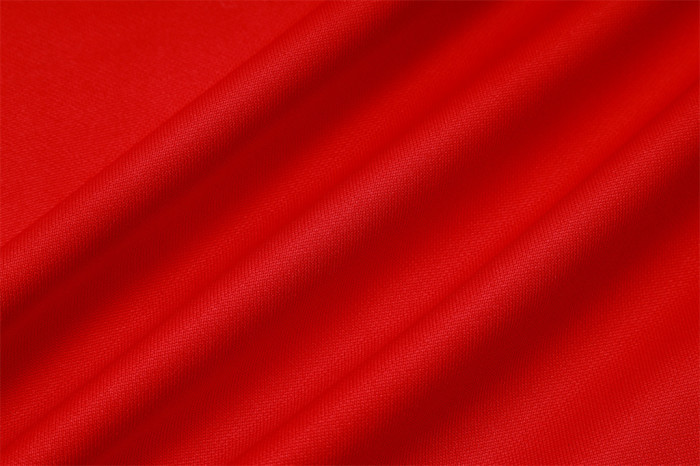 Germany Training Jacket 25/26