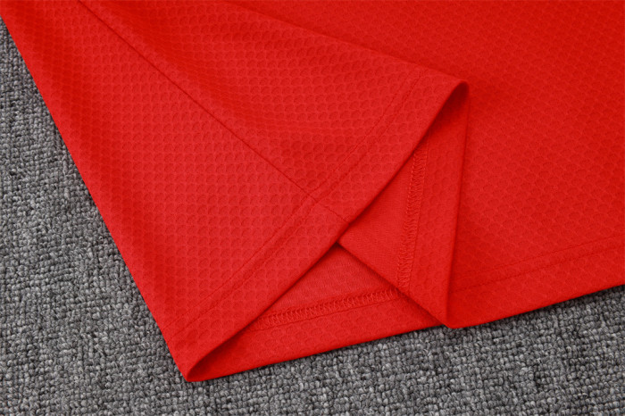 Flamengo POLO Jersey 25/26