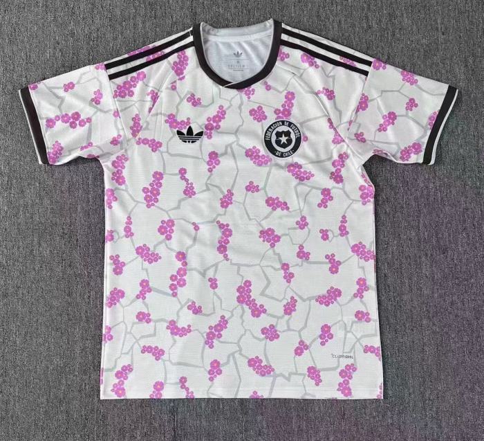 Chile 2026 World Cup Away Men Jersey